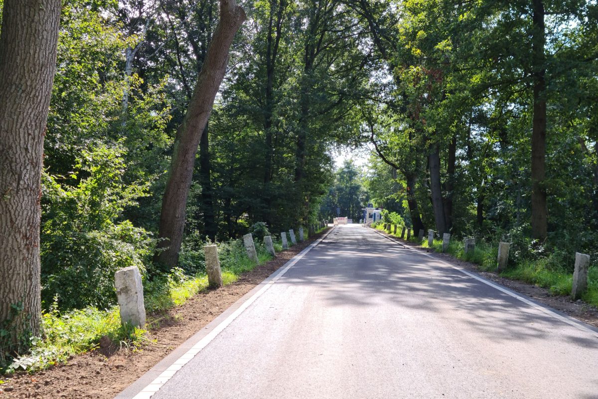 Straßensanierung Bissingheimer Straße 01
